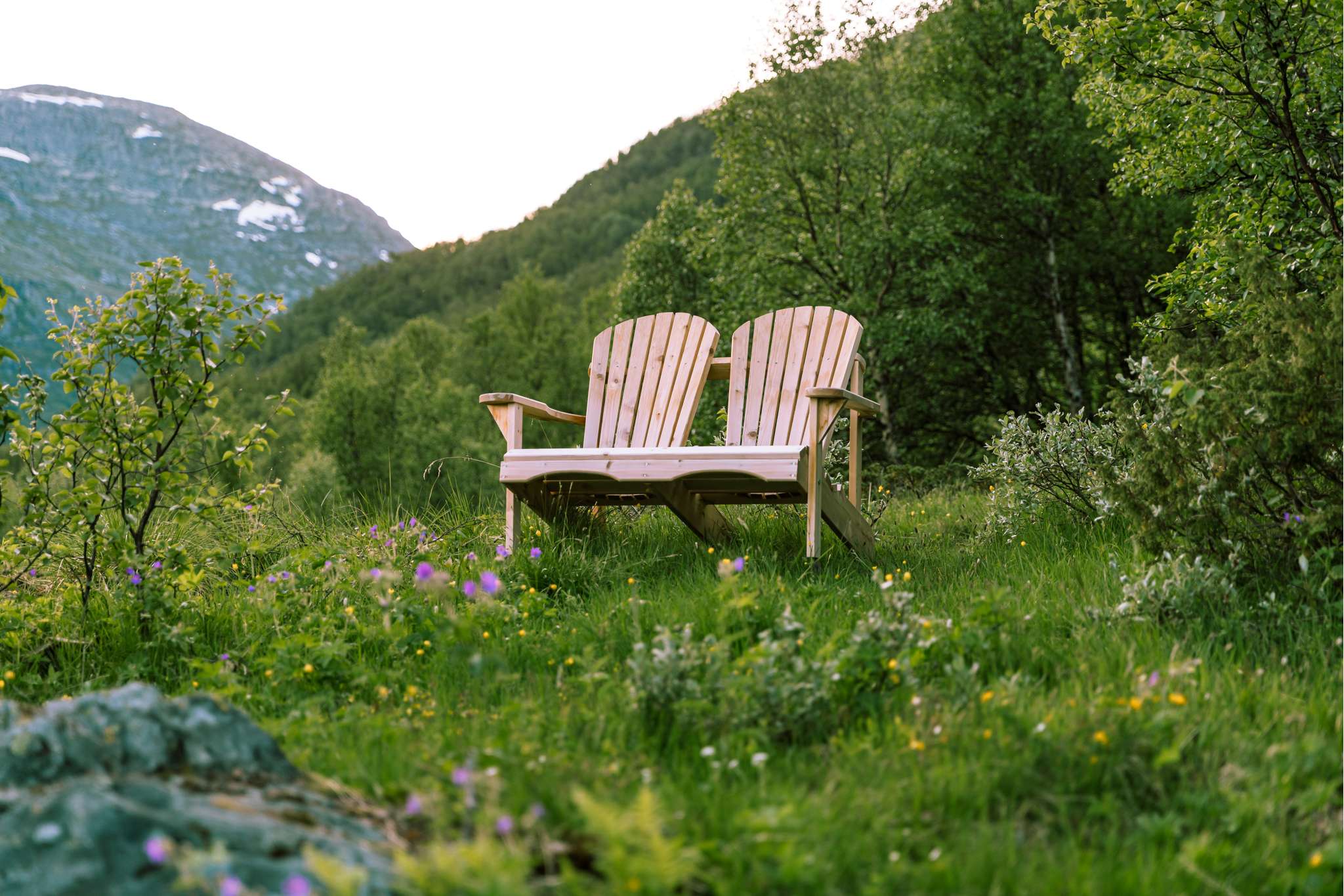 Classic Adirondack Tvåsits