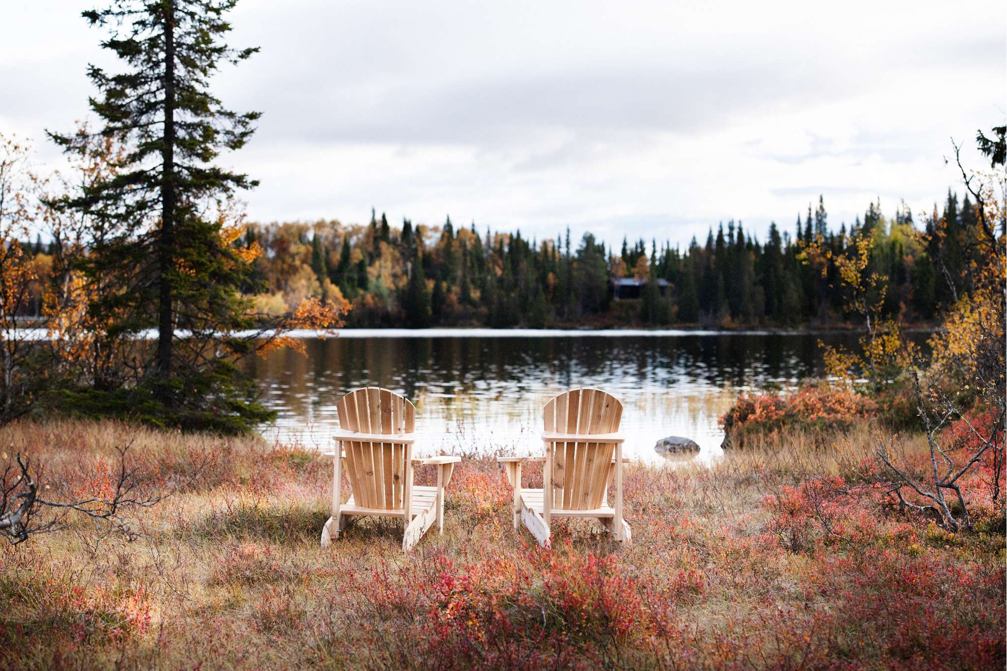 Classic Adirondack Trädgårdsstol